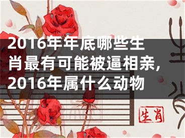 2016年年底哪些生肖最有可能被逼相亲,2016年属什么动物