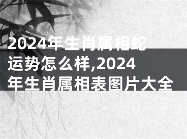 2024年生肖属相蛇运势怎么样,2024年生肖属相表图片大全