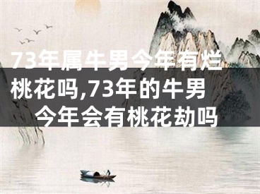 73年属牛男今年有烂桃花吗,73年的牛男今年会有桃花劫吗