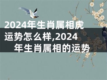 2024年生肖属相虎运势怎么样,2024年生肖属相的运势