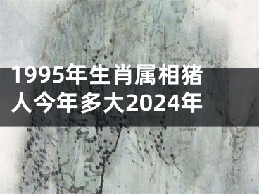 1995年生肖属相猪人今年多大2024年