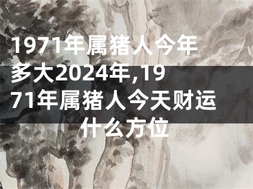 1971年属猪人今年多大2024年,1971年属猪人今天财运什么方位