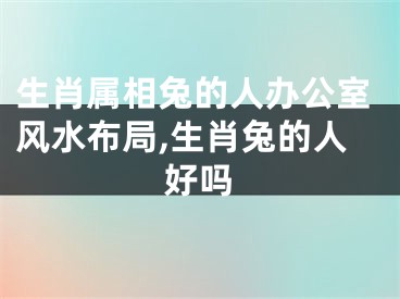 生肖属相兔的人办公室风水布局,生肖兔的人好吗