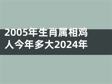 2005年生肖属相鸡人今年多大2024年