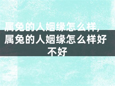 属兔的人姻缘怎么样,属兔的人姻缘怎么样好不好