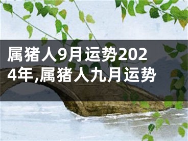 属猪人9月运势2024年,属猪人九月运势