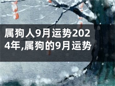 属狗人9月运势2024年,属狗的9月运势