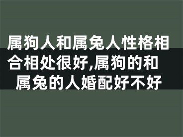 属狗人和属兔人性格相合相处很好,属狗的和属兔的人婚配好不好