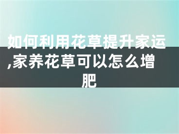 如何利用花草提升家运,家养花草可以怎么增肥