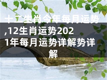 十二生肖今年每月运势,12生肖运势2021年每月运势详解势详解