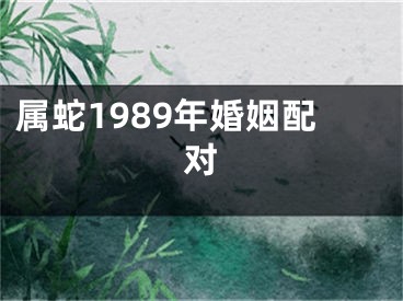 属蛇1989年婚姻配对