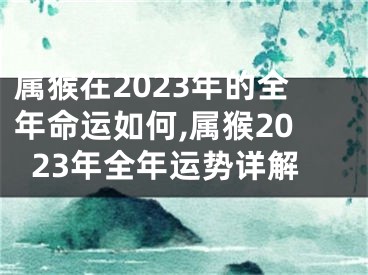 属猴在2023年的全年命运如何,属猴2023年全年运势详解