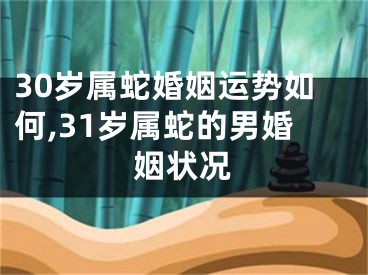 30岁属蛇婚姻运势如何,31岁属蛇的男婚姻状况