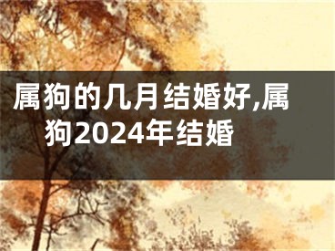 属狗的几月结婚好,属狗2024年结婚