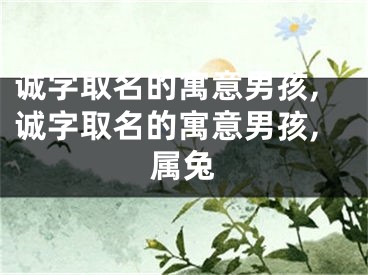 诚字取名的寓意男孩,诚字取名的寓意男孩,属兔