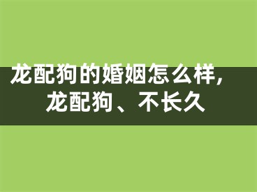 龙配狗的婚姻怎么样,龙配狗、不长久