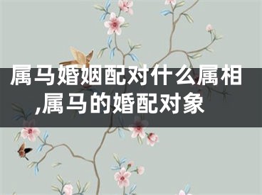 属马婚姻配对什么属相,属马的婚配对象