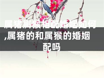 属猪属猴相配婚姻如何,属猪的和属猴的婚姻配吗