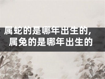 属蛇的是哪年出生的,属兔的是哪年出生的