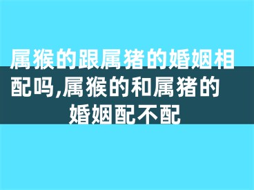 属猴的跟属猪的婚姻相配吗,属猴的和属猪的婚姻配不配