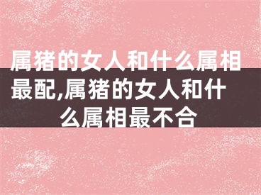 属猪的女人和什么属相最配,属猪的女人和什么属相最不合