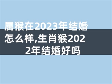 属猴在2023年结婚怎么样,生肖猴2022年结婚好吗