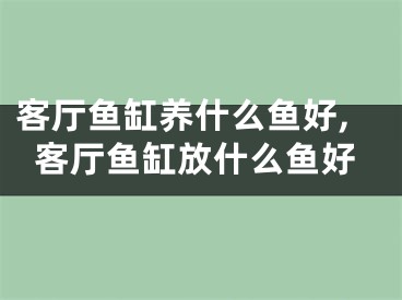 客厅鱼缸养什么鱼好,客厅鱼缸放什么鱼好