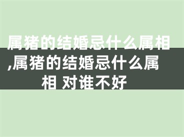 属猪的结婚忌什么属相,属猪的结婚忌什么属相 对谁不好