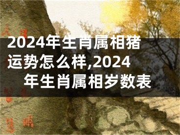 2024年生肖属相猪运势怎么样,2024年生肖属相岁数表