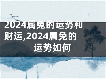 2024属兔的运势和财运,2024属兔的运势如何