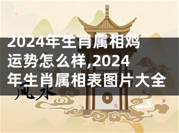 2024年生肖属相鸡运势怎么样,2024年生肖属相表图片大全