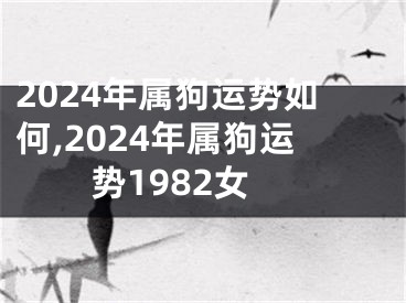 2024年属狗运势如何,2024年属狗运势1982女