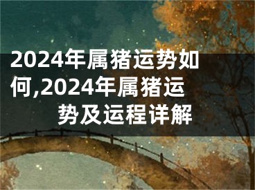 2024年属猪运势如何,2024年属猪运势及运程详解