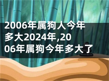 2006年属狗人今年多大2024年,2006年属狗今年多大了