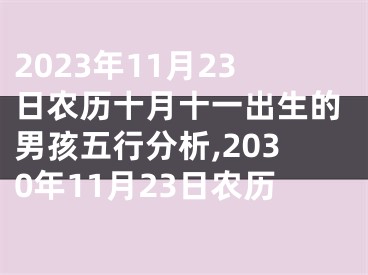 2023年11月23日农历十月十一出生的男孩五行分析,2030年11月23日农历