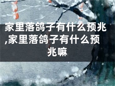 家里落鸽子有什么预兆,家里落鸽子有什么预兆嘛