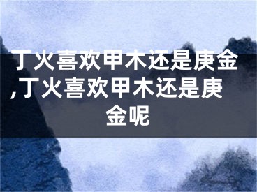 丁火喜欢甲木还是庚金,丁火喜欢甲木还是庚金呢