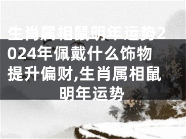 生肖属相鼠明年运势2024年佩戴什么饰物提升偏财,生肖属相鼠明年运势