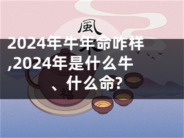 2024年牛年命咋样,2024年是什么牛、什么命?