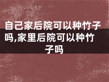 自己家后院可以种竹子吗,家里后院可以种竹子吗