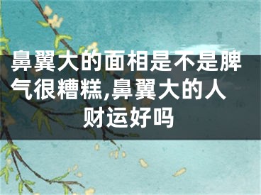 鼻翼大的面相是不是脾气很糟糕,鼻翼大的人财运好吗