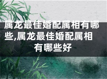 属龙最佳婚配属相有哪些,属龙最佳婚配属相有哪些好