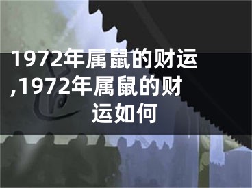 1972年属鼠的财运,1972年属鼠的财运如何