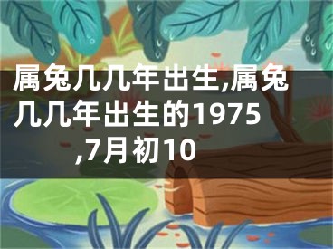 属兔几几年出生,属兔几几年出生的1975,7月初10