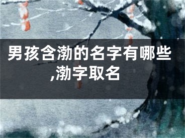 男孩含渤的名字有哪些,渤字取名