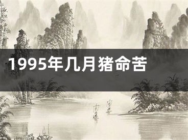 1995年几月猪命苦