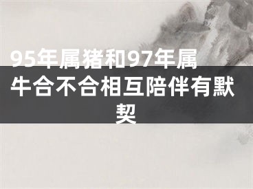 95年属猪和97年属牛合不合相互陪伴有默契