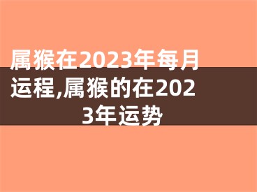 属猴在2023年每月运程,属猴的在2023年运势