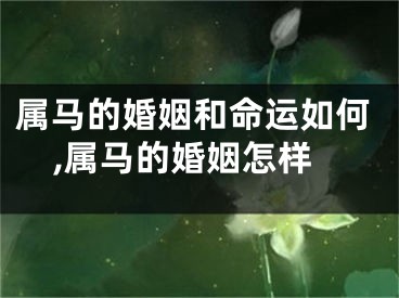 属马的婚姻和命运如何,属马的婚姻怎样