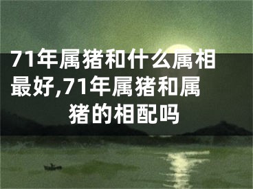 71年属猪和什么属相最好,71年属猪和属猪的相配吗